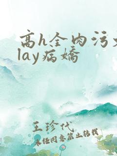 高h全肉污文play病娇