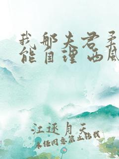 我那夫君柔弱不能自理 西风锦