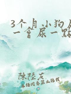 3个月小狗尿频一会尿一点