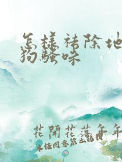 怎样祛除地板上狗骚味