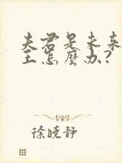 夫君是未来大魔王怎么办?