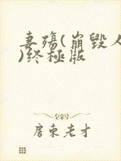 妻殇(崩毁人生)终极版