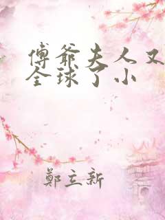 傅爷夫人又惊艳全球了小