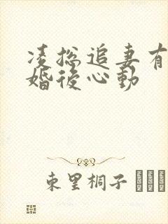 凌总追妻有点甜婚后心动