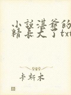 小说湛爷的小妖精长大了txt