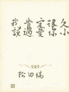 我肯定很久之前说过爱你小说免费阅读