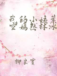 我的小姨叶凡司空嫣然林冰