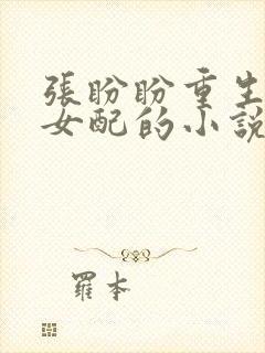 张盼盼重生恶毒女配的小说