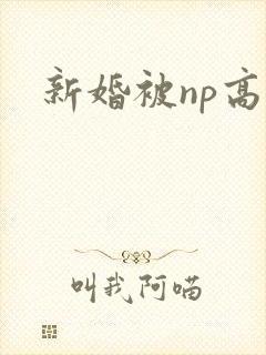新婚被np高h