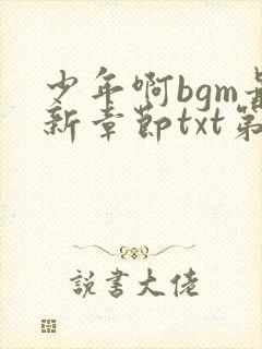 少年啊bgm最新章节txt第二部