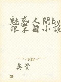 魅惑人间by豺狼末日小说免费阅读