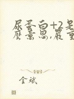 尿蛋白+2是什么意思,严重吗