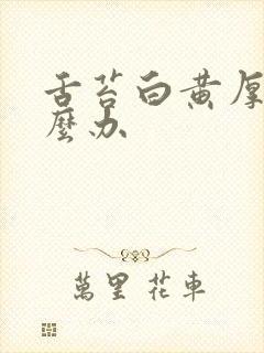 舌苔白黄厚腻怎么办