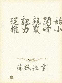 从认亲开始踏上权力巅峰小说免费阅读