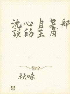 沈心月是哪部小说的主角