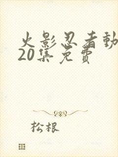 火影忍者动画720集免费