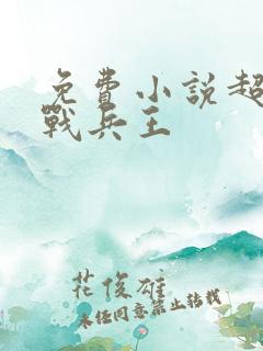 免费小说超级特战兵王