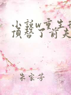 小说w重生后我顶替了前夫白月光,