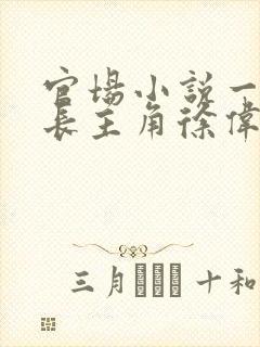 官场小说一省之长主角徐伟