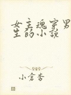 女主魂穿男主重生的小说