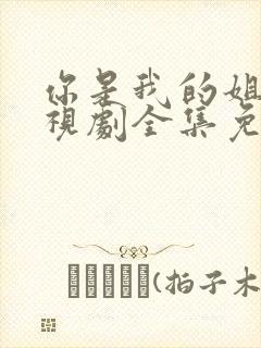 你是我的姐妹电视剧全集免费观看