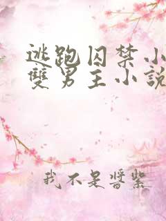 逃跑囚禁小少爷双男主小说推荐