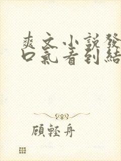 爽文小说发疯一口气看到结局