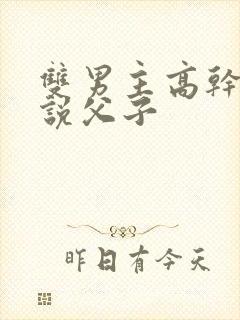 双男主高干文小说父子