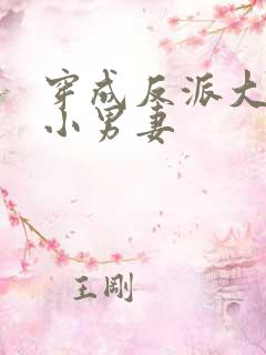 穿成反派大佬的小男妻