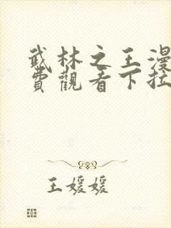 武林之王漫画免费观看下拉式