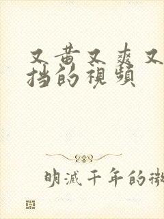 又黄又爽又无遮挡的视频