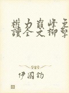 权力巅峰免费阅读全文柳擎宇小说