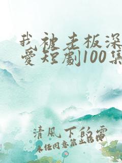 我被老板深深溺爱短剧100集