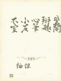 不小心掰弯直男室友笔趣阁