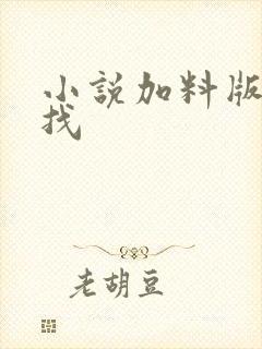 小说加料版怎么找