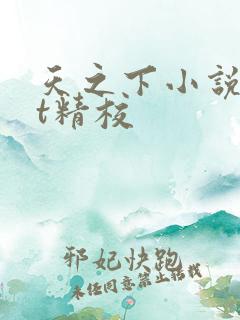天之下小说txt精校