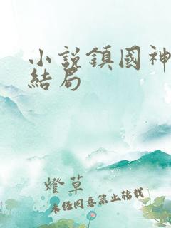 小说镇国神婿大结局