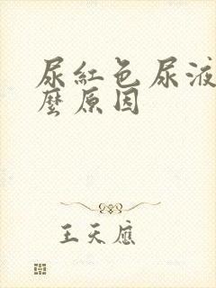 尿红色尿液男什么原因