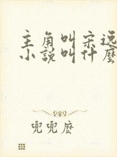 主角叫宋逸晨的小说叫什么书名