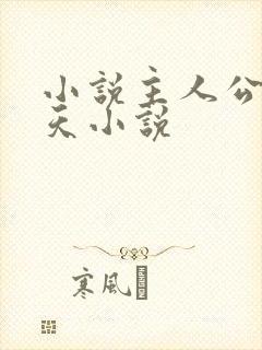 小说主人公林小天小说