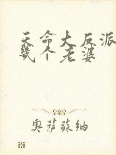 天命大反派女主几个老婆