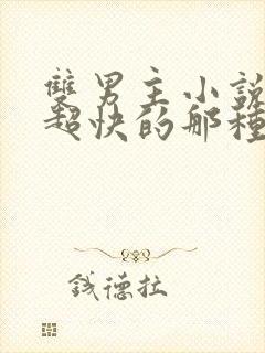 双男主小说车速超快的那种