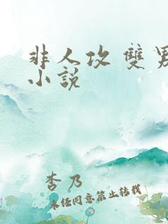 非人攻 双男主小说