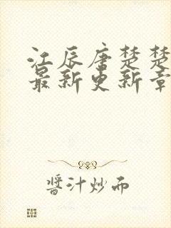 江辰唐楚楚小说最新更新章节