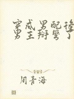 穿成男配后我把男主掰弯了