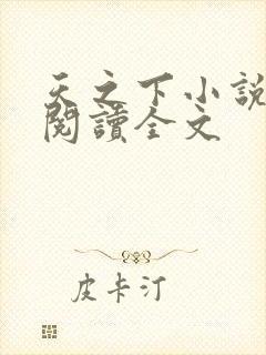 天之下小说免费阅读全文
