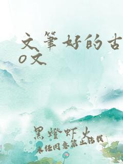 文笔好的古言po文