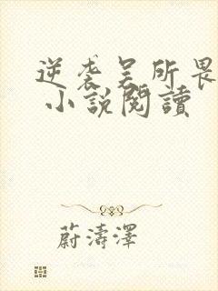 逆袭吴所畏池骋 小说阅读