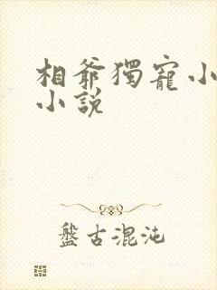 相爷独宠小娇妻小说