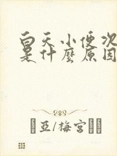 白天小便次数多是什么原因造成的